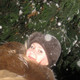 Lora, 37
