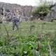 Metin, 58