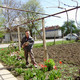 Metin, 58