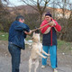 Vlad, 70