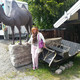 elena, 63