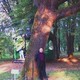 Bob, 66
