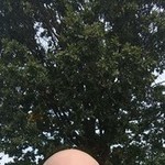 �����, 44