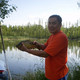 MUZA, 44