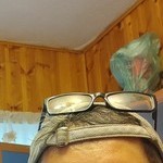 , 49