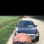 Edgar, 44