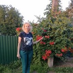 , 52 (1 , 0 )