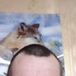 , 48 (1 , 0 )